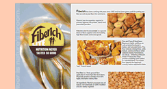 Desktop Screenshot of fiberichtech.com